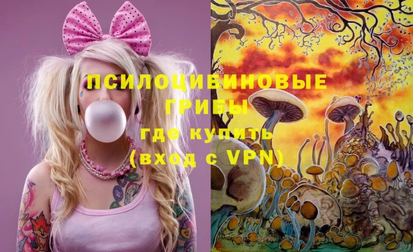 а пвп мука Корсаков