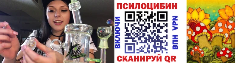 Галлюциногенные грибы GOLDEN TEACHER Купить закладки Сланцы